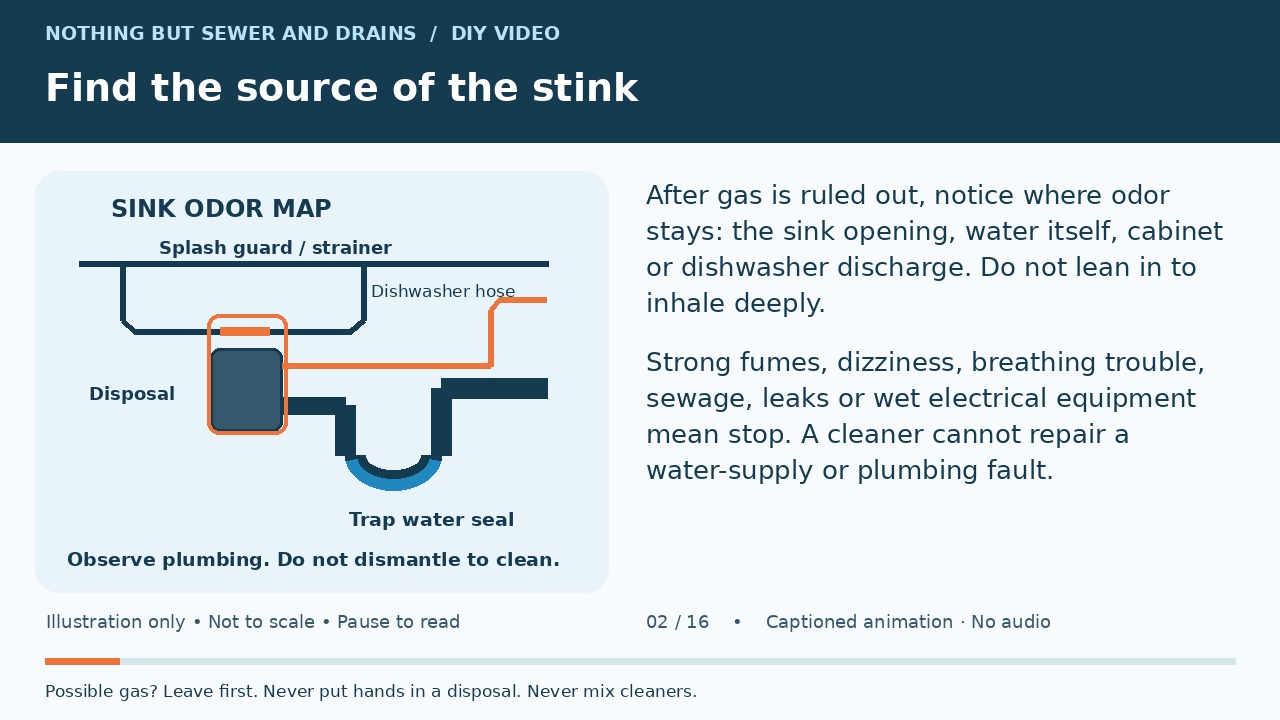 Illustrated sink, disposal, dishwasher hose and trap beside odor-source checks.